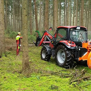 Mitarbeiter bei der Forstwirtschaft in einem Wald