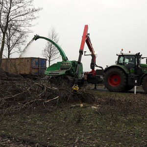 Gefällte Bäume werden mit Baggern abtransportiert