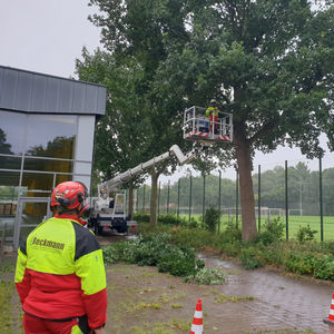 Professionelle Baumarbeiten mit einer Drehleiter