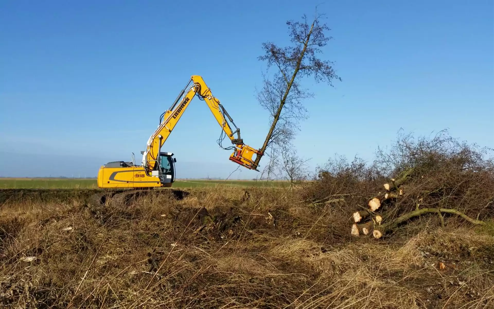 Eine landwirtschaftliche Maschine bei Baumfällarbeiten in Geestland